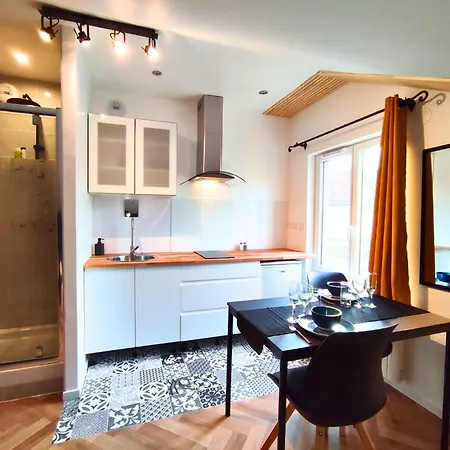 Musique En Champagne - 4 Avec Wc Et Douche + Grande Piece Commune Apartment *
